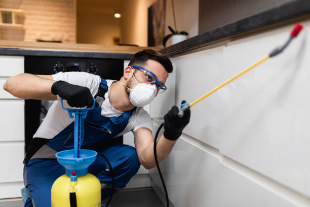 Best Affordable Pest Control Services  in Estancia, NM