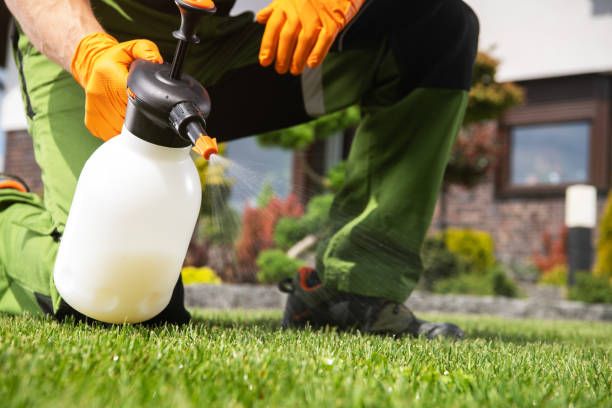 Best Wasp Removal Services  in Estancia, NM