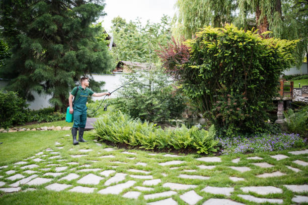 Best Pest Removal Services  in Estancia, NM