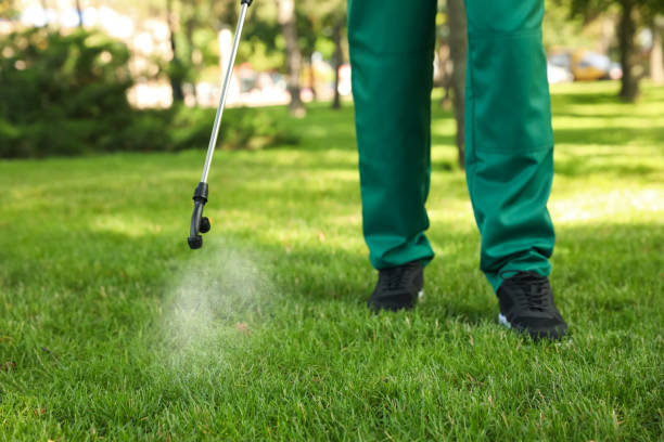 Wasp Removal Services in Estancia, NM