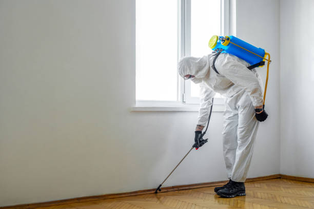 Best Affordable Pest Control Services  in Estancia, NM