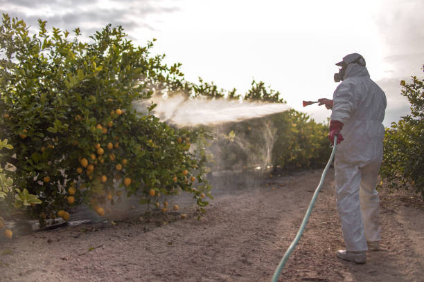 Best Emergency Pest Control  in Estancia, NM